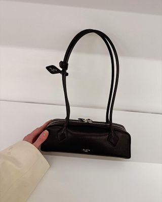 Alaïa Le Teckel bag