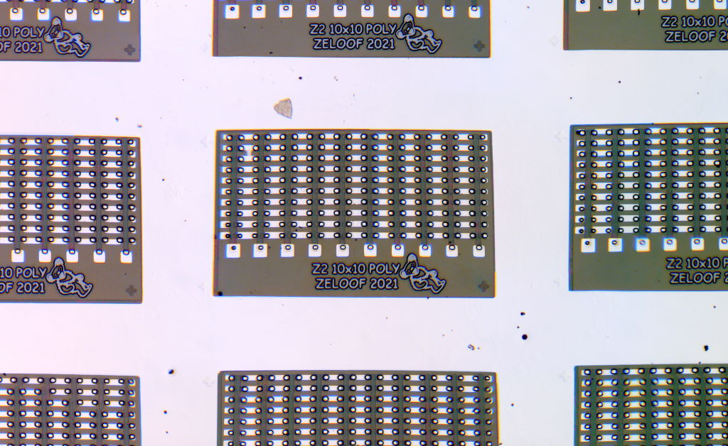 Screen Shot 2021-08-12 at 4.28.35 PM